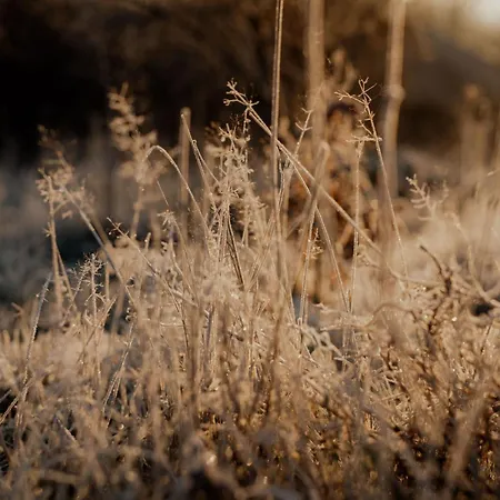 Flowfort - Riesengebirgsblick Wellness By Interhome בית נופש