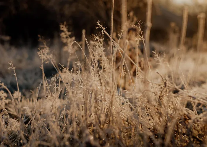 Flowfort - Riesengebirgsblick Wellness By Interhome Сasa de vacaciones